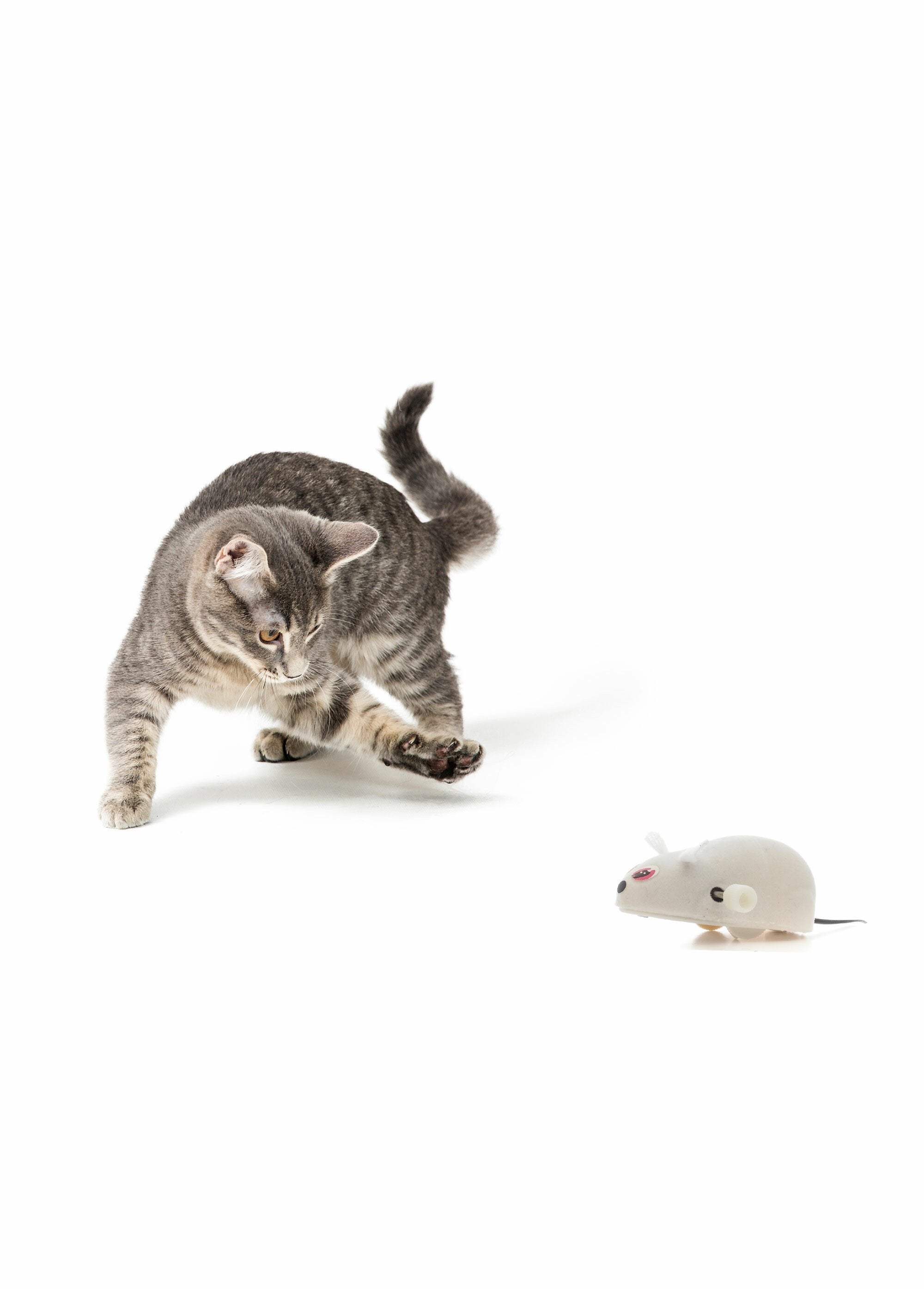 Juguete_de_fricción_para_gatos_y_ratones_Blanco,_Blanca_DE1_slim