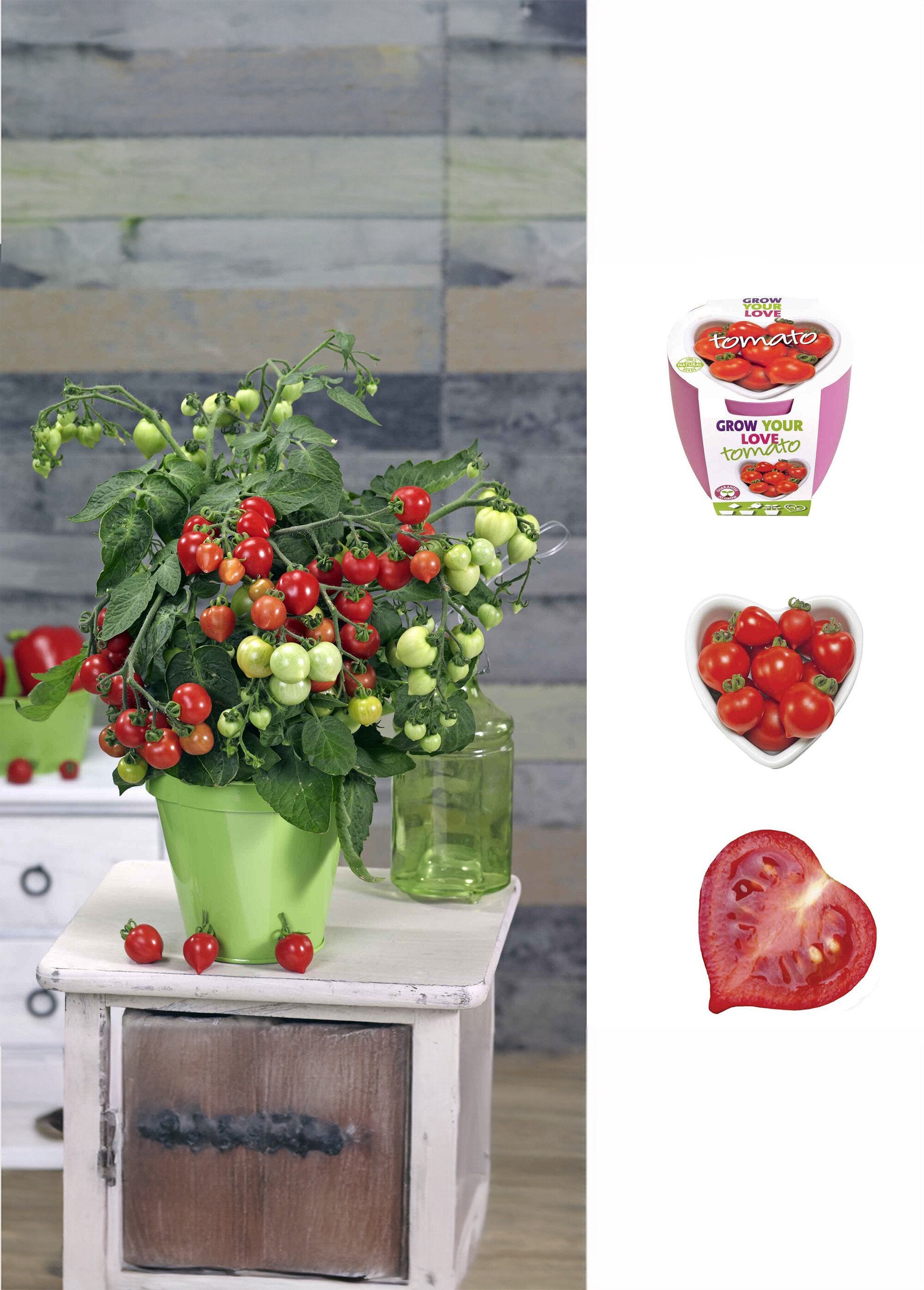 Kit_de_cultivo_de_tomates_cherry_en_forma_de_corazón_Rouge_FA2_slim